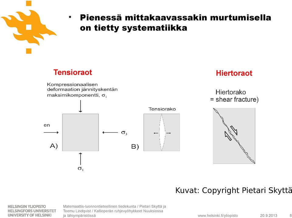 systematiikka Tensioraot