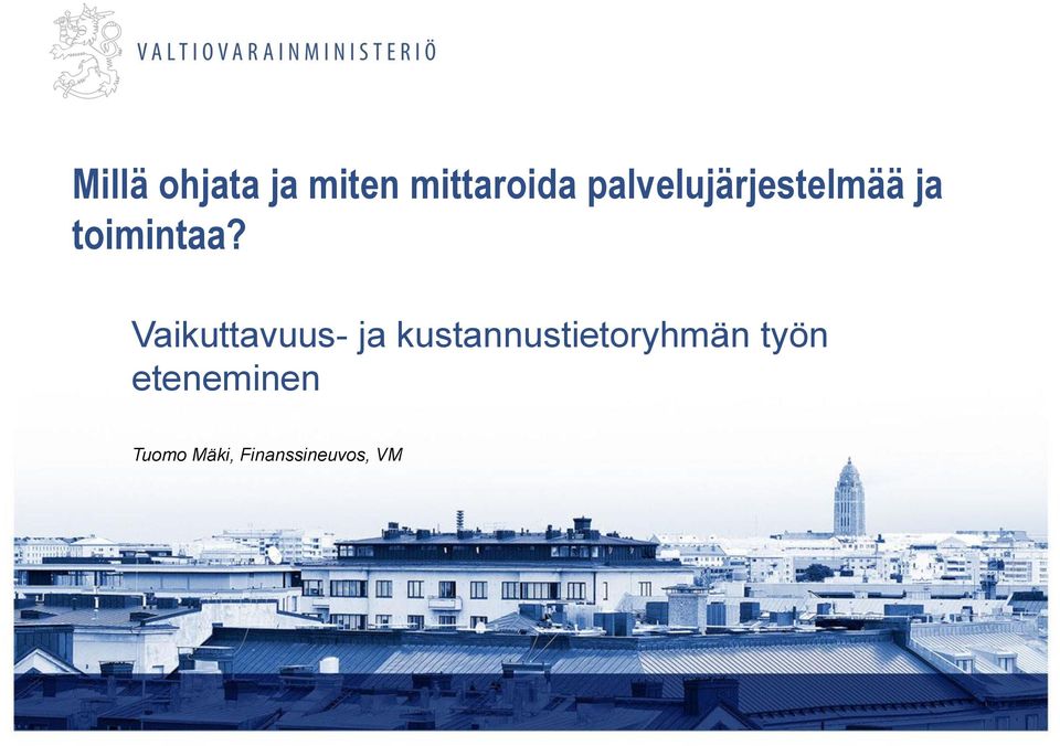 Vaikuttavuus- ja kustannustietoryhmän