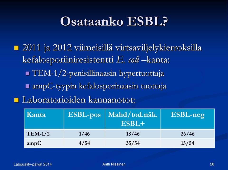 E. coli kanta: TEM-1/2-penisillinaasin hypertuottaja ampc-tyypin