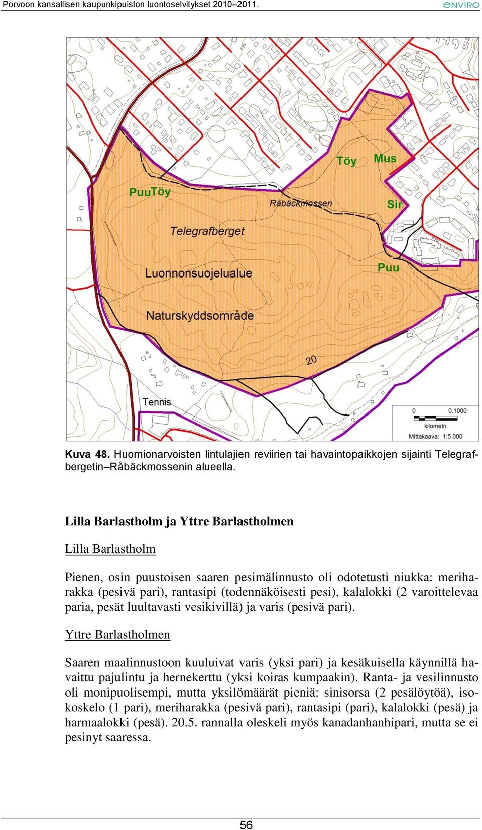 (2 varoittelevaa paria, pesät luultavasti vesikivillä) ja varis (pesivä pari).