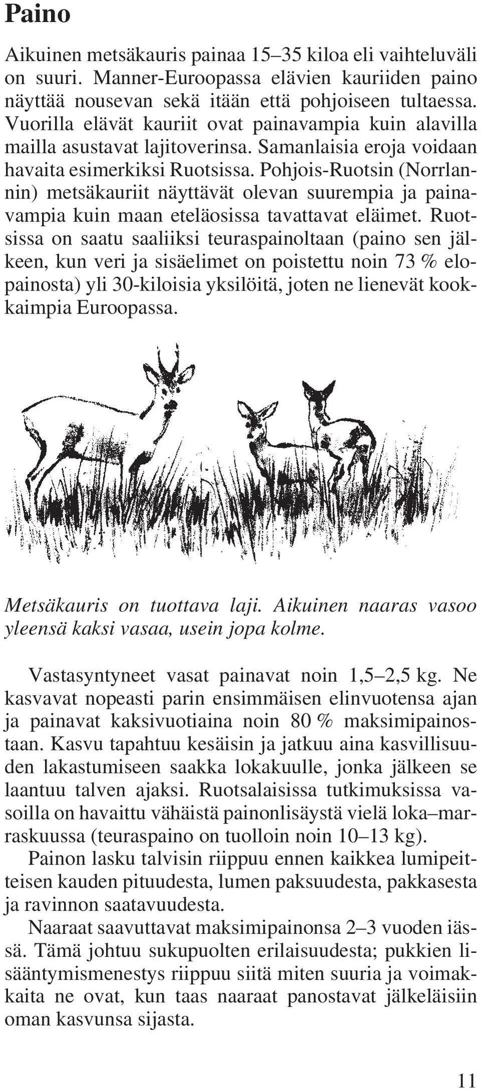 Pohjois-Ruotsin (Norrlannin) metsäkauriit näyttävät olevan suurempia ja painavampia kuin maan eteläosissa tavattavat eläimet.