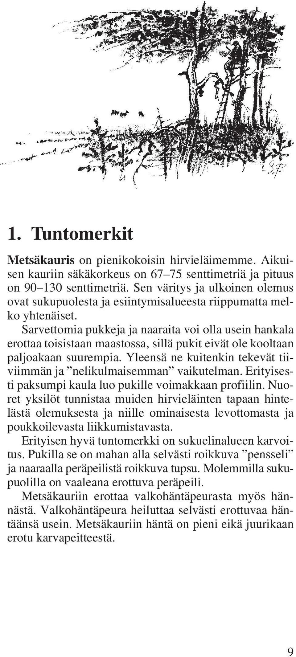 Sarvettomia pukkeja ja naaraita voi olla usein hankala erottaa toisistaan maastossa, sillä pukit eivät ole kooltaan paljoakaan suurempia.