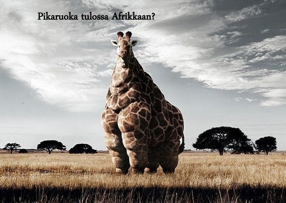 Afrikkaan?