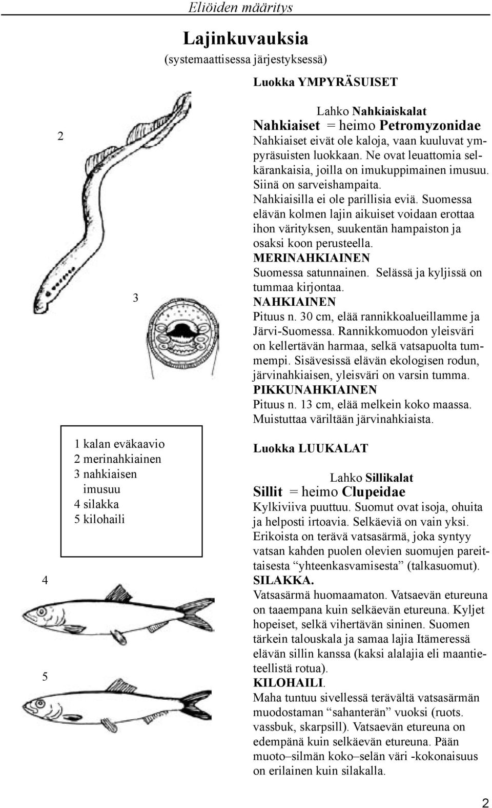 Suomessa elävän kolmen lajin aikuiset voidaan erottaa ihon värityksen, suukentän hampaiston ja osaksi koon perusteella. MERINAHKIAINEN Suomessa satunnainen. Selässä ja kyljissä on tummaa kirjontaa.