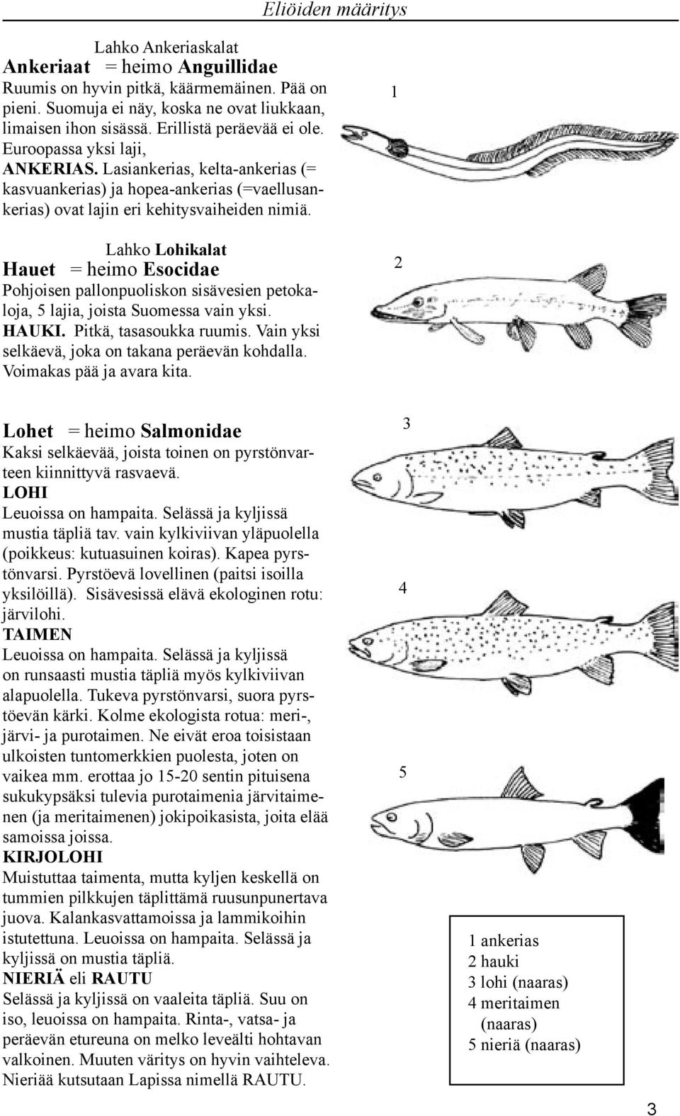 Lahko Lohikalat Hauet = heimo Esocidae Pohjoisen pallonpuoliskon sisävesien petokaloja, lajia, joista Suomessa vain yksi. HAUKI. Pitkä, tasasoukka ruumis.