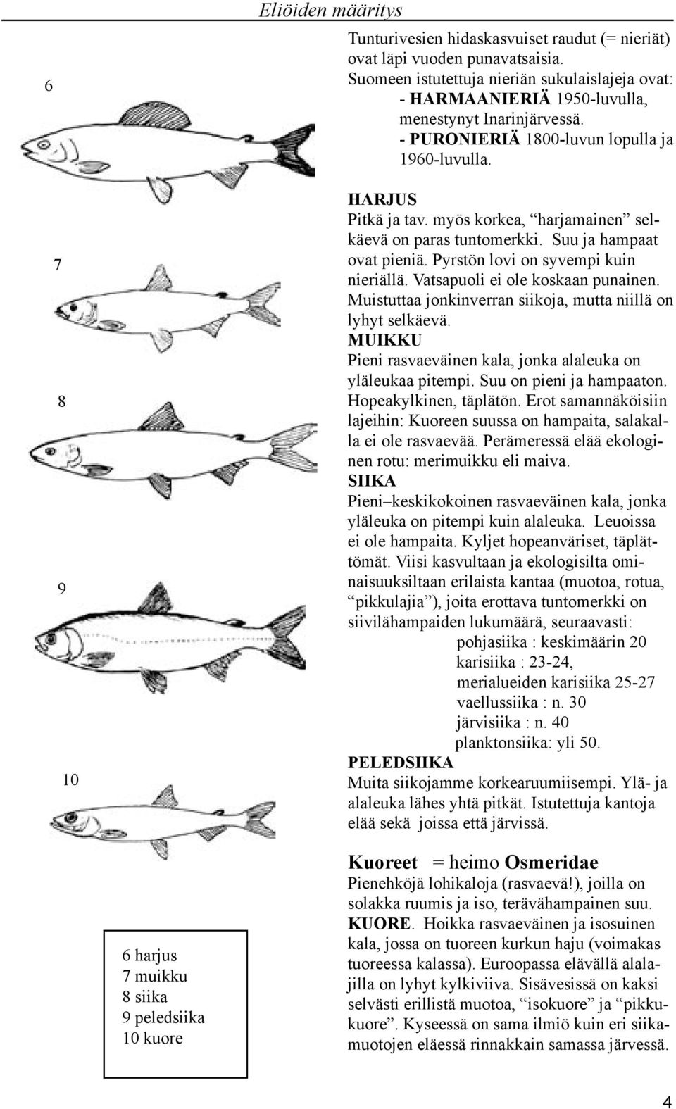 myös korkea, harjamainen selkäevä on paras tuntomerkki. Suu ja hampaat ovat pieniä. Pyrstön lovi on syvempi kuin nieriällä. Vatsapuoli ei ole koskaan punainen.