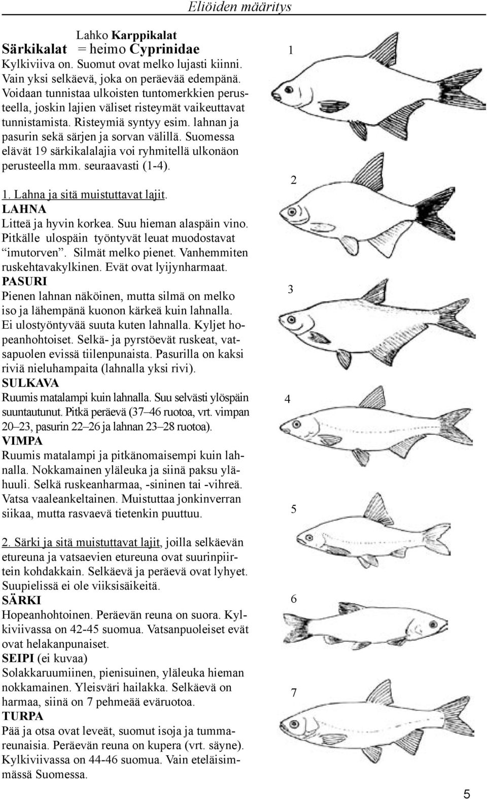 Suomessa elävät 19 särkikalalajia voi ryhmitellä ulkonäon perusteella mm. seuraavasti (1-). 1. Lahna ja sitä muistuttavat lajit. LAHNA Litteä ja hyvin korkea. Suu hieman alaspäin vino.