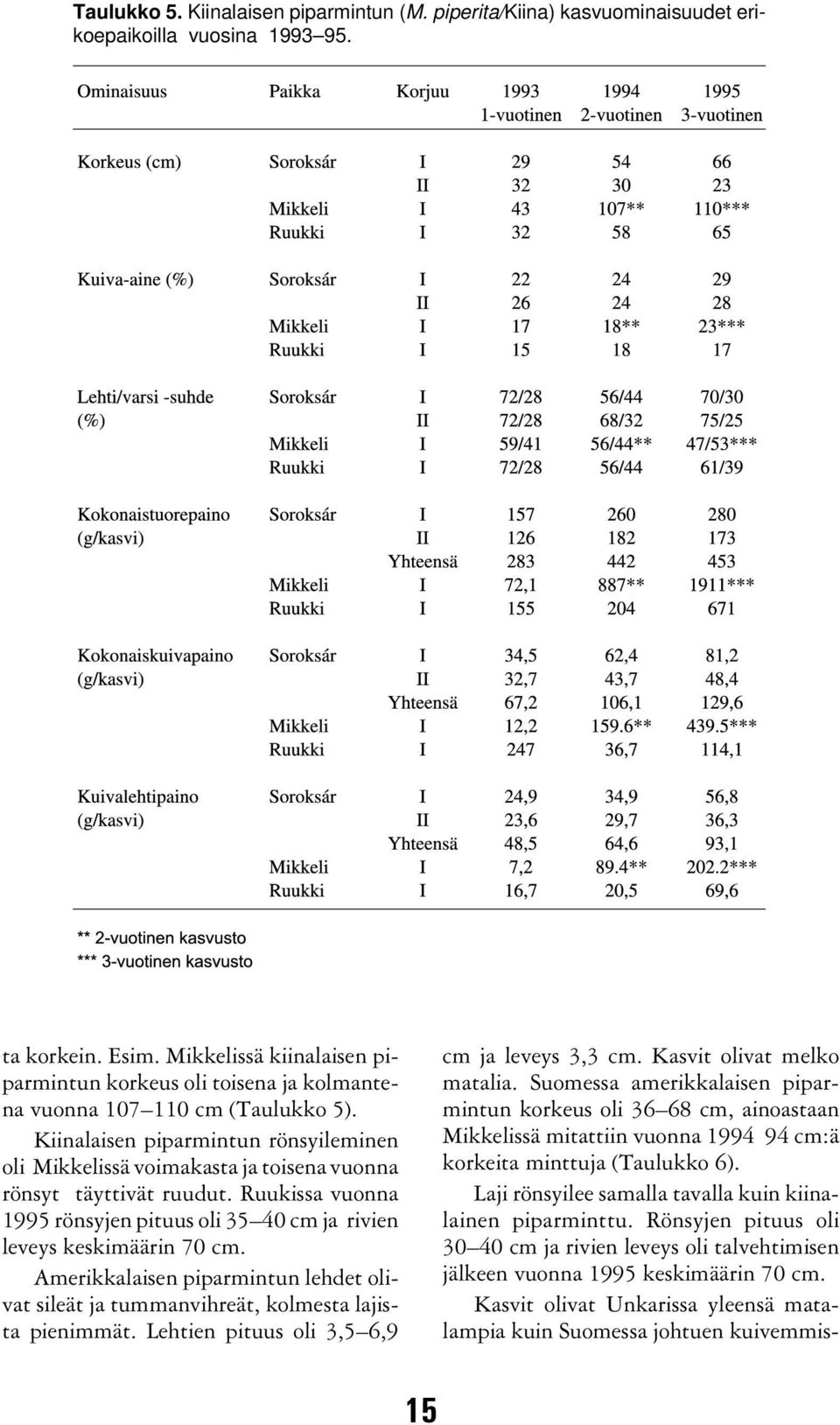 Kiinalaisen piparmintun rönsyileminen oli Mikkelissä voimakasta ja toisena vuonna rönsyt täyttivät ruudut. Ruukissa vuonna 1995 rönsyjen pituus oli 35 40 cm ja rivien leveys keskimäärin 70 cm.