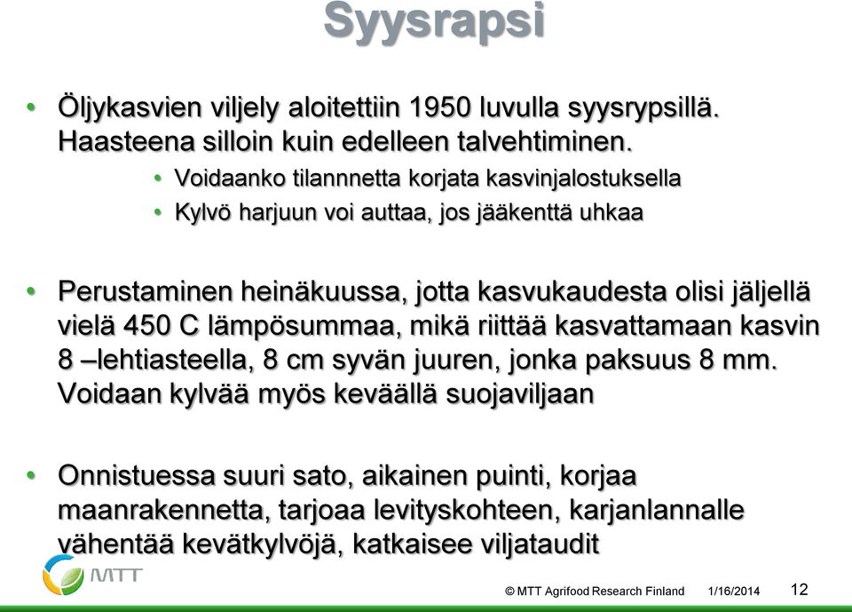 jäljellä vielä 450 C lämpösummaa, mikä riittää kasvattamaan kasvin 8 lehtiasteella, 8 cm syvän juuren, jonka paksuus 8 mm.