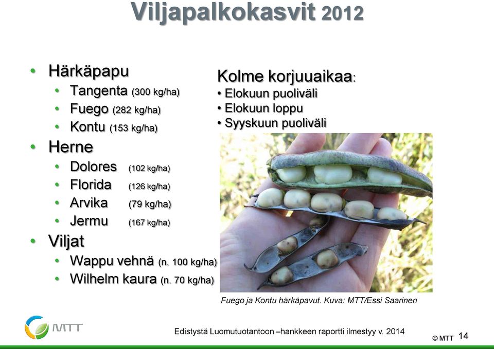 Arvika (79 kg/ha) Jermu (167 kg/ha) Viljat Wappu vehnä (n. 100 kg/ha) Wilhelm kaura (n.