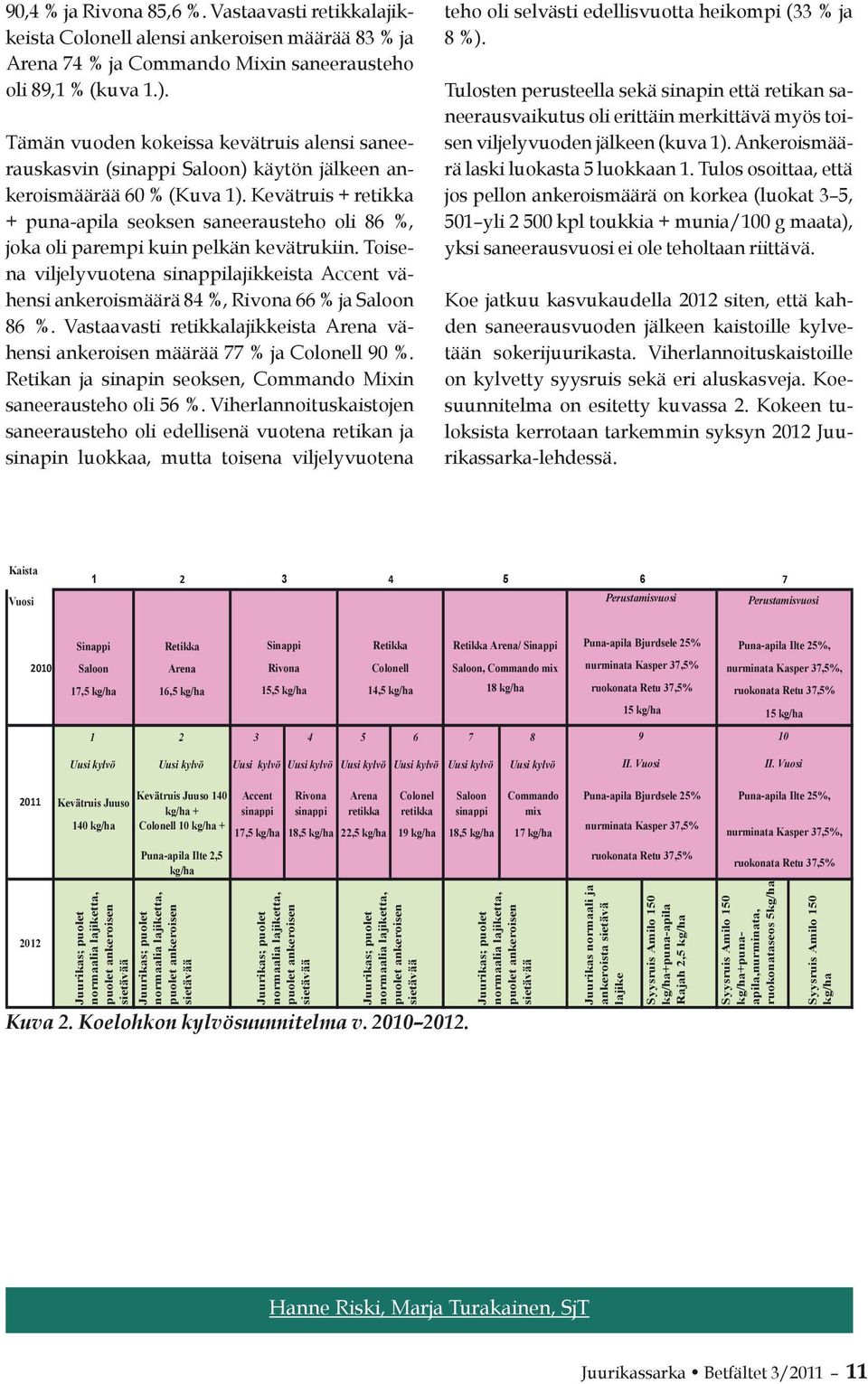 Kevätruis + retikka + puna-apila seoksen saneerausteho oli 86 %, joka oli parempi kuin pelkän kevätrukiin.