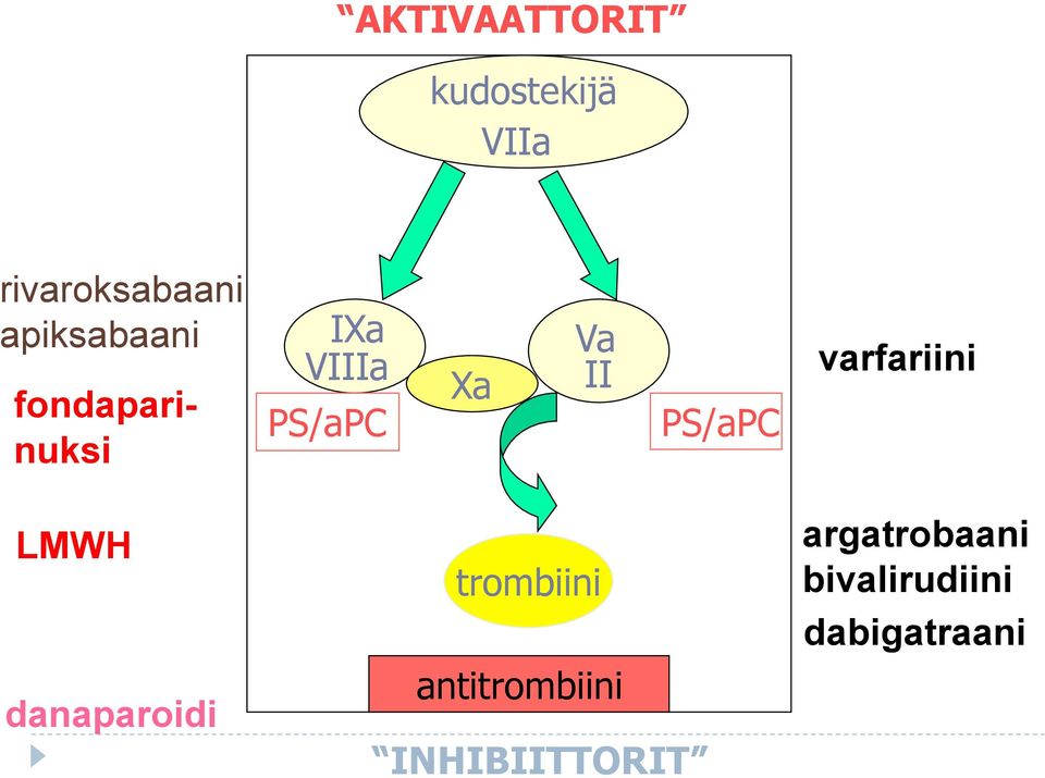 PS/aPC varfariini LMWH danaparoidi trombiini