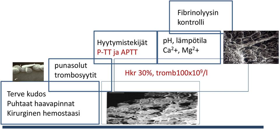 Fibrinolyysin kontrolli ph, lämpötila Ca 2 +,