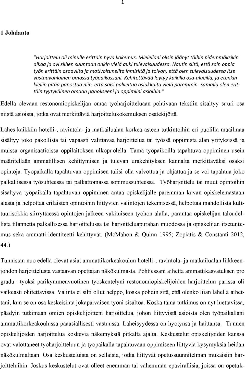 Kehitettävää löytyy kaikilla osa-alueilla, ja etenkin kieliin pitää panostaa niin, että saisi palveltua asiakkaita vielä paremmin.