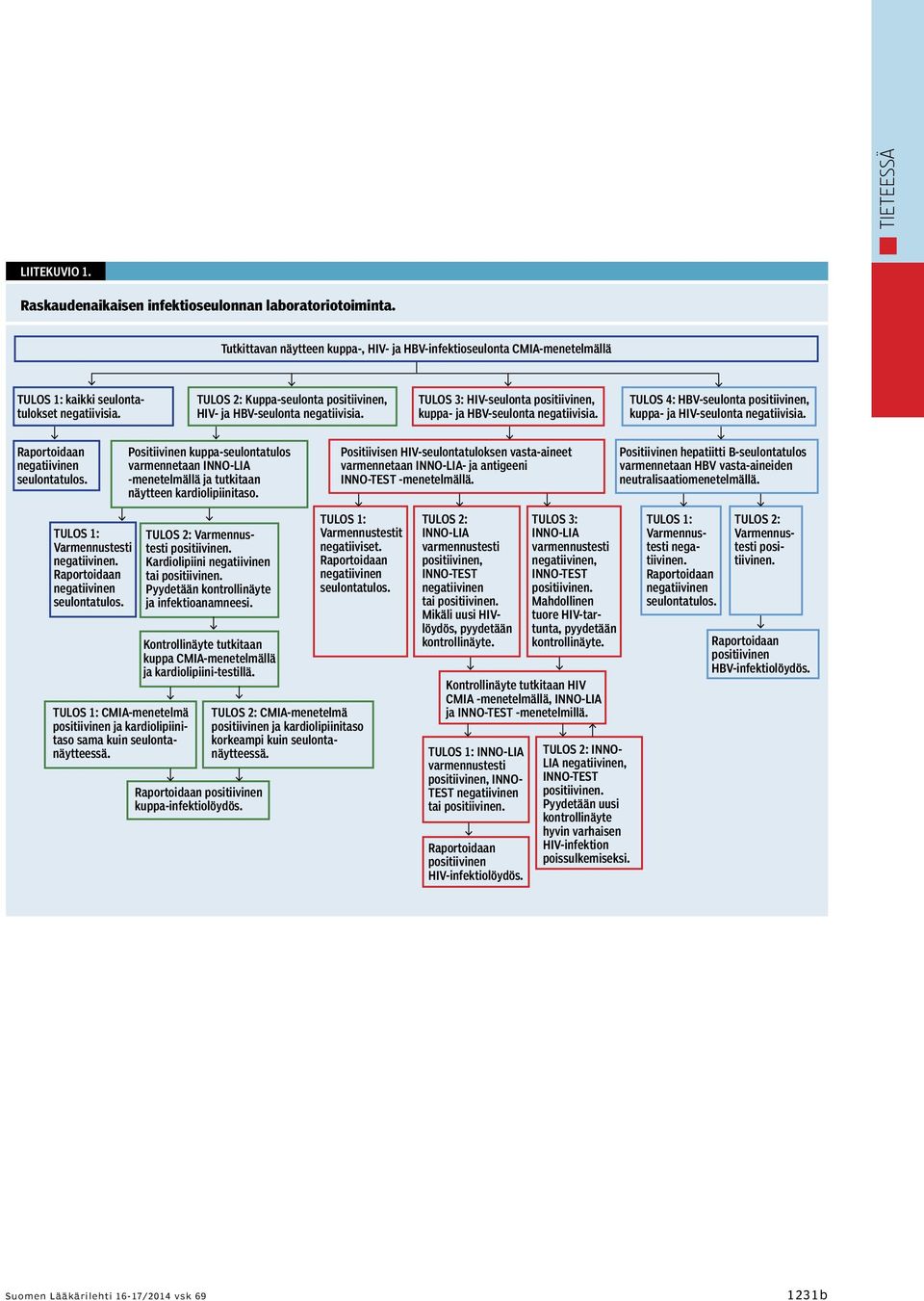 TULOS 3: HIV-seulonta positiivinen, kuppa- ja HBV-seulonta negatiivisia. TULOS 4: HBV-seulonta positiivinen, kuppa- ja HIV-seulonta negatiivisia.