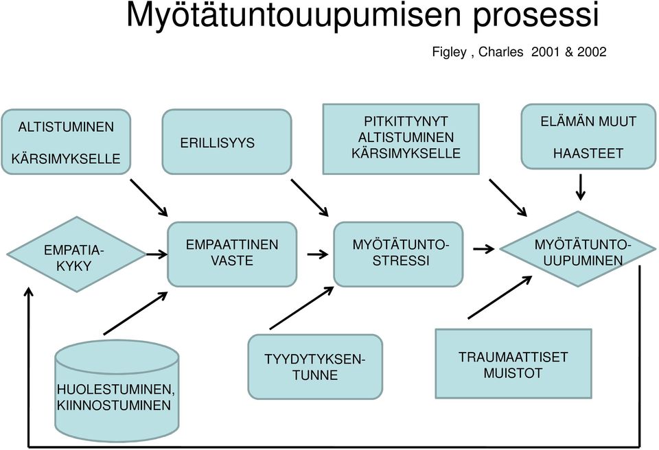 MUUT HAASTEET EMPATIA- KYKY EMPAATTINEN VASTE MYÖTÄTUNTO- STRESSI