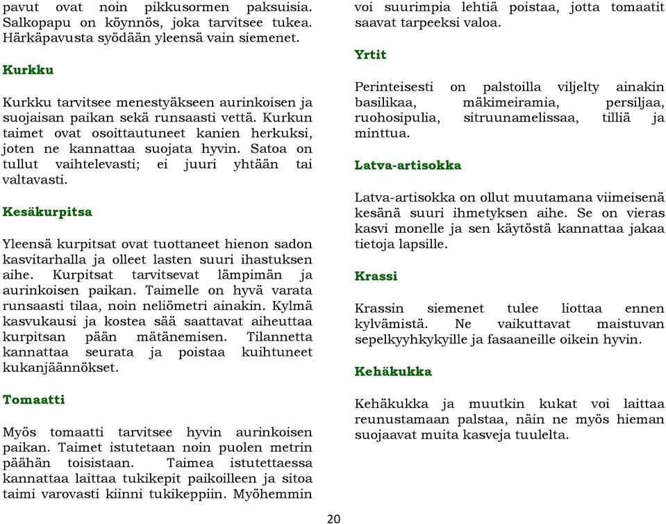 Satoa on tullut vaihtelevasti; ei juuri yhtään tai valtavasti. Kesäkurpitsa Yleensä kurpitsat ovat tuottaneet hienon sadon kasvitarhalla ja olleet lasten suuri ihastuksen aihe.