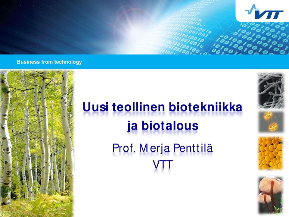 biotalous Prof.