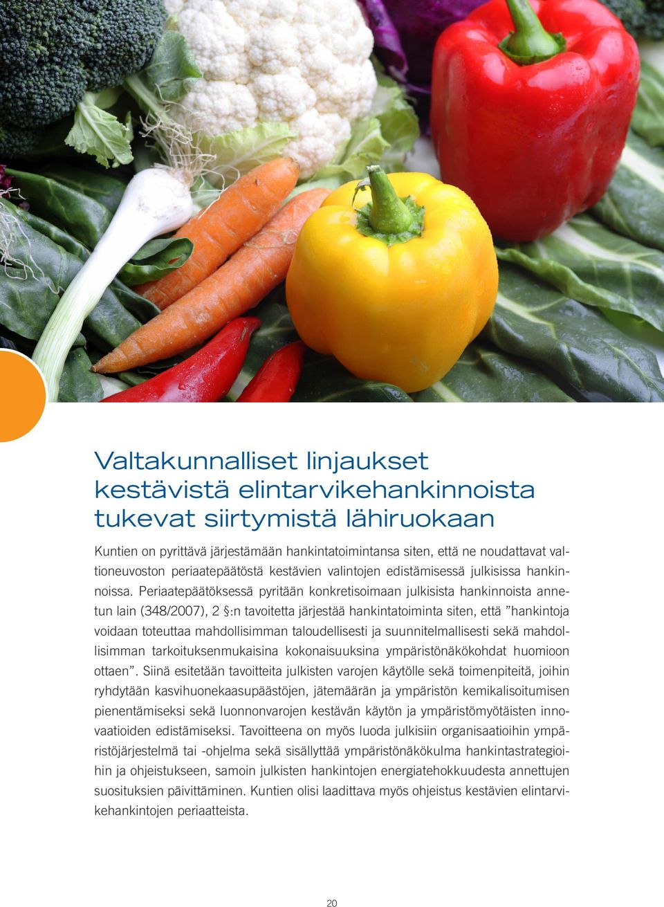 Periaatepäätöksessä pyritään konkretisoimaan julkisista hankinnoista annetun lain (348/2007), 2 :n tavoitetta järjestää hankintatoiminta siten, että hankintoja voidaan toteuttaa mahdollisimman