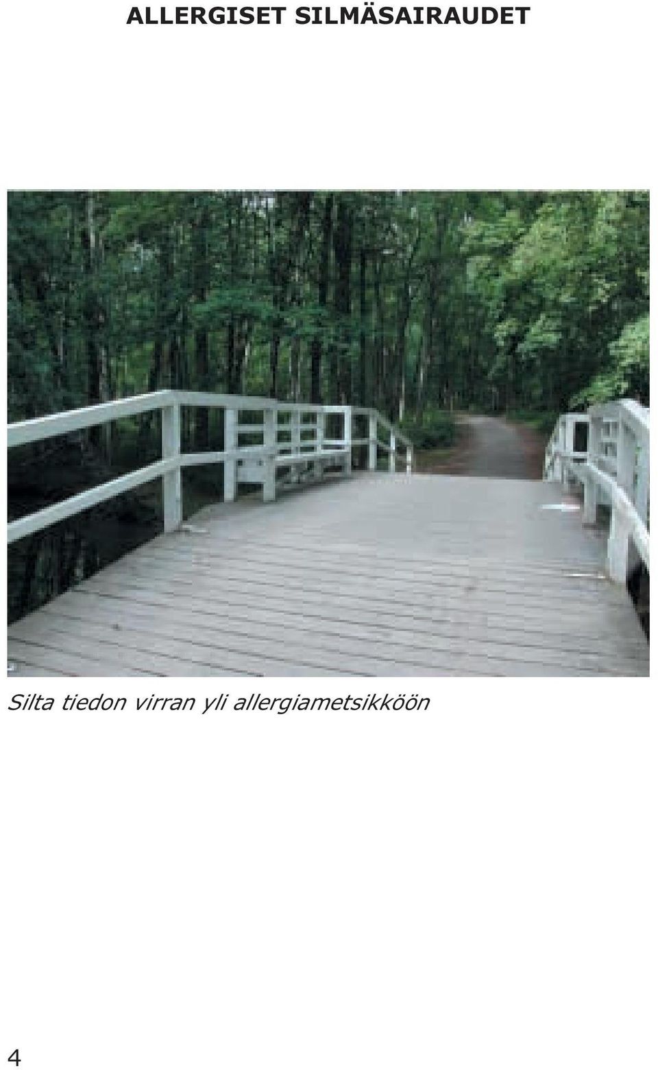 Silta tiedon