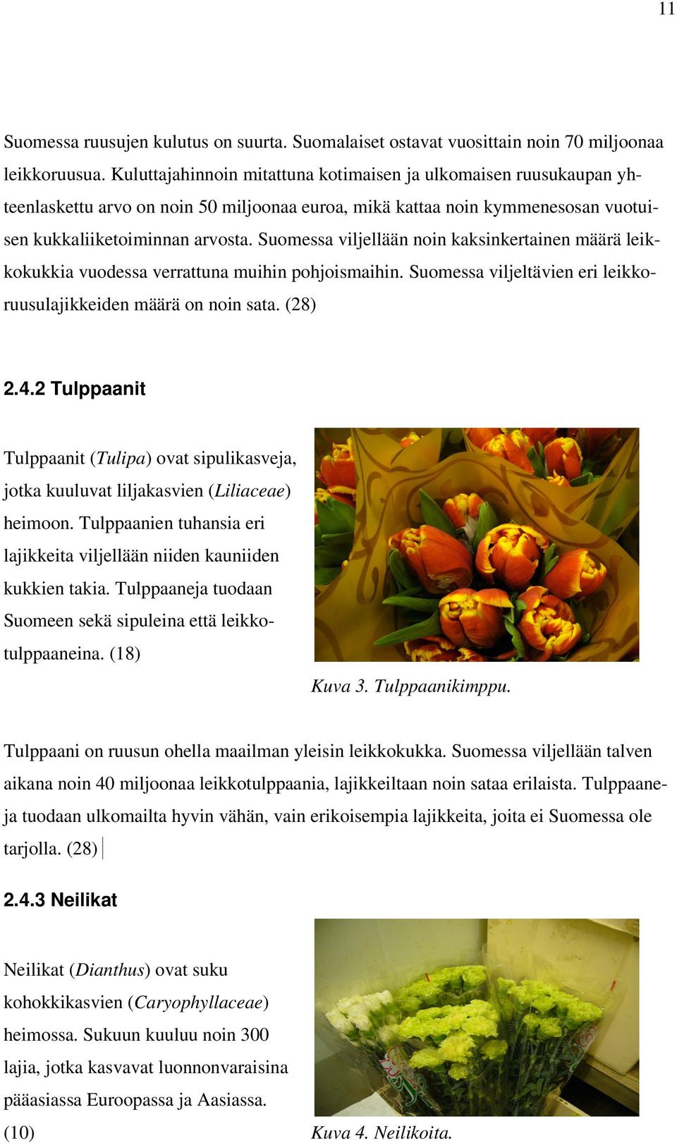 Suomessa viljellään noin kaksinkertainen määrä leikkokukkia vuodessa verrattuna muihin pohjoismaihin. Suomessa viljeltävien eri leikkoruusulajikkeiden määrä on noin sata. (28) 2.4.