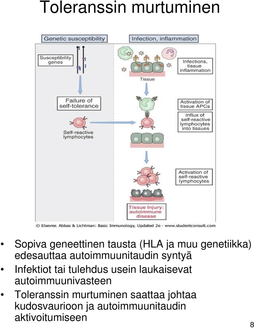 tlehds sein lakaisevat atoimmnivasteen Toleranssin