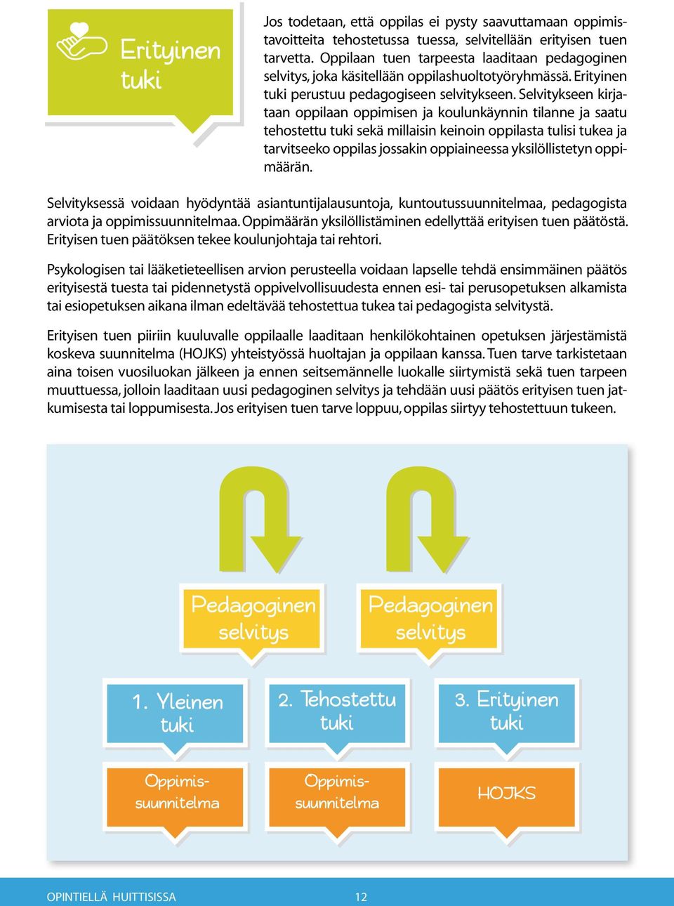 Selvitykseen kirjataan oppilaan oppimisen ja koulunkäynnin tilanne ja saatu tehostettu tuki sekä millaisin keinoin oppilasta tulisi tukea ja tarvitseeko oppilas jossakin oppiaineessa yksilöllistetyn