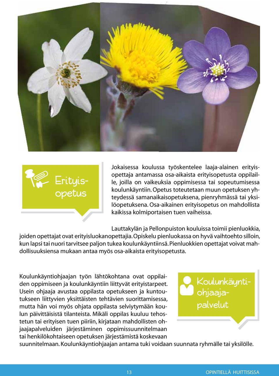 Lauttakylän ja Pellonpuiston kouluissa toimii pienluokkia, joiden opettajat ovat erityisluokanopettajia.