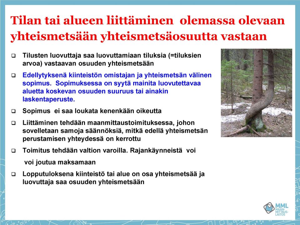 Sopimuksessa on syytä mainita luovutettavaa aluetta koskevan osuuden suuruus tai ainakin laskentaperuste.