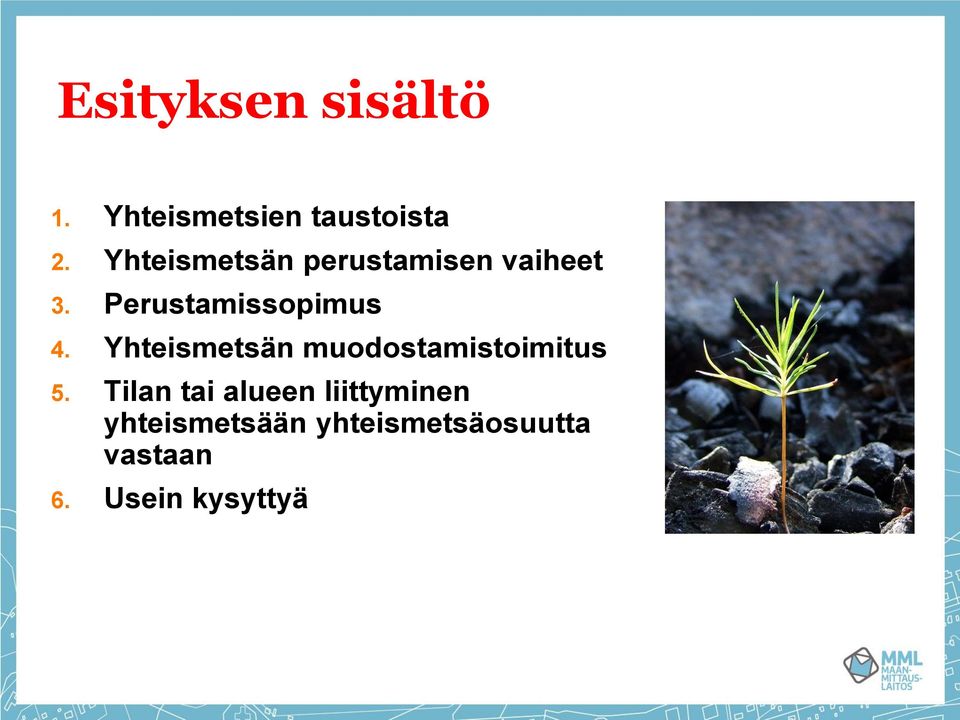 Yhteismetsän muodostamistoimitus 5.