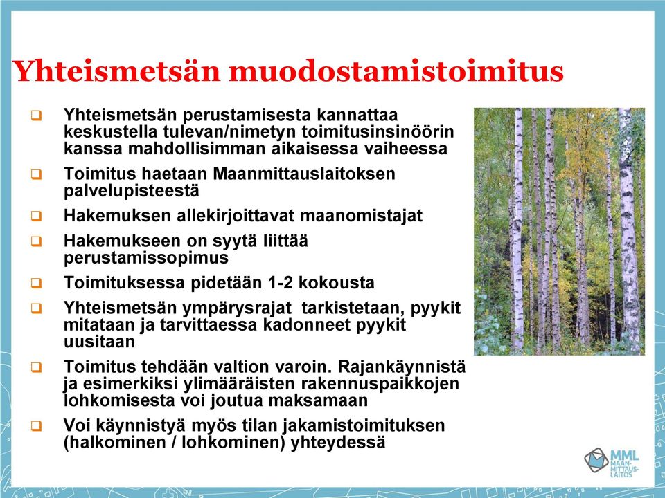 pidetään 1-2 kokousta Yhteismetsän ympärysrajat tarkistetaan, pyykit mitataan ja tarvittaessa kadonneet pyykit uusitaan Toimitus tehdään valtion varoin.