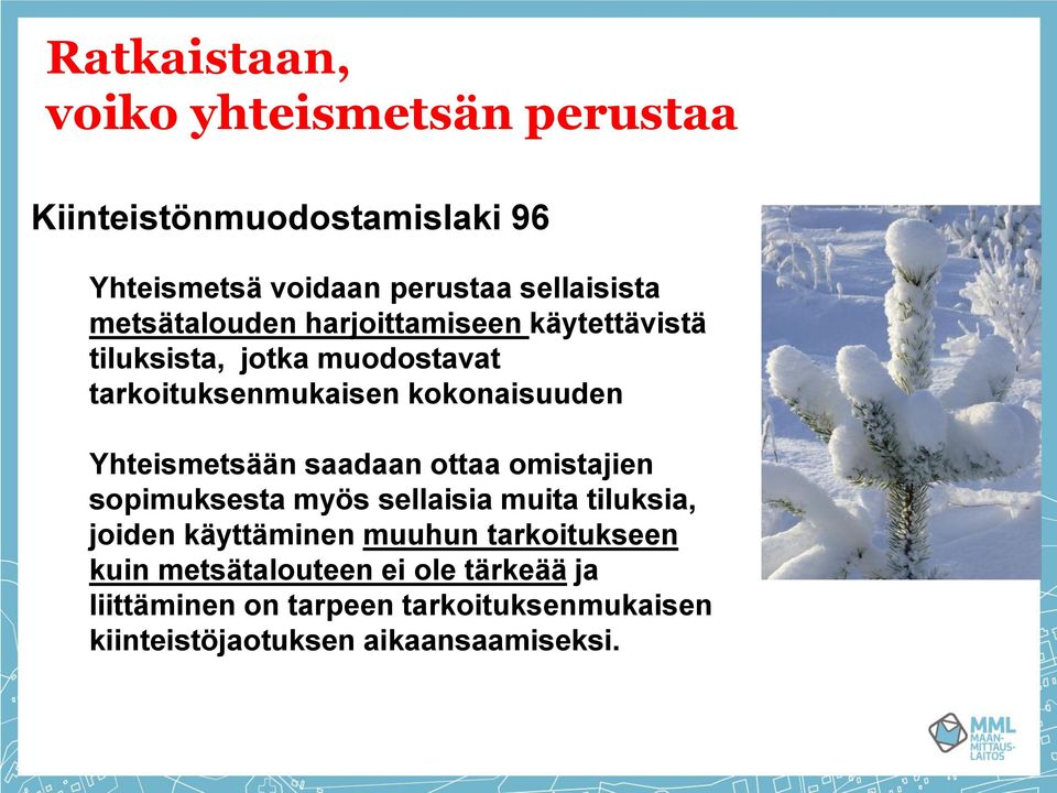 Yhteismetsään saadaan ottaa omistajien sopimuksesta myös sellaisia muita tiluksia, joiden käyttäminen muuhun