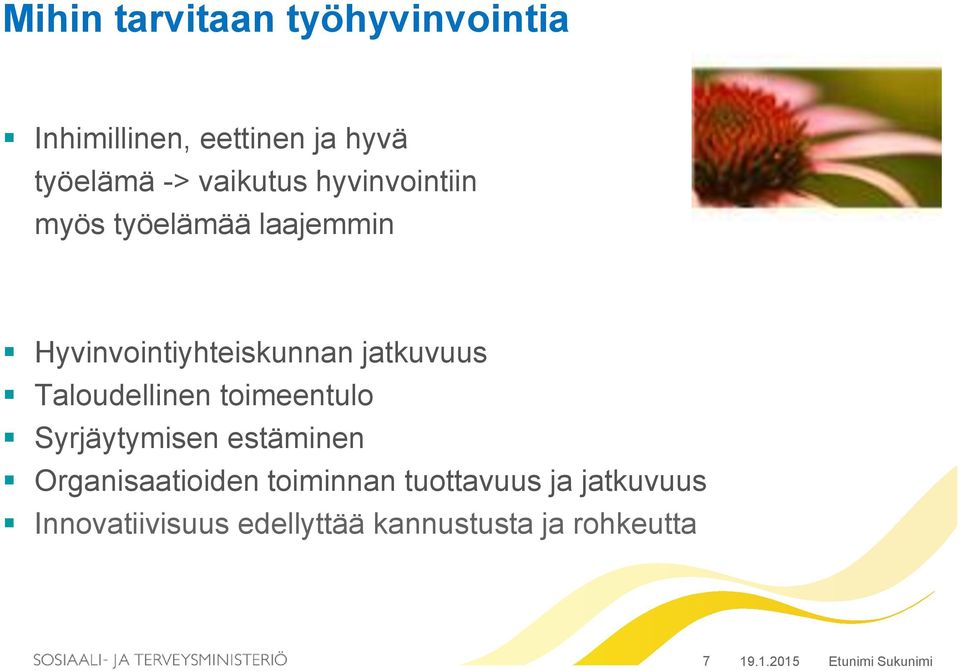 jatkuvuus Taloudellinen toimeentulo Syrjäytymisen estäminen Organisaatioiden