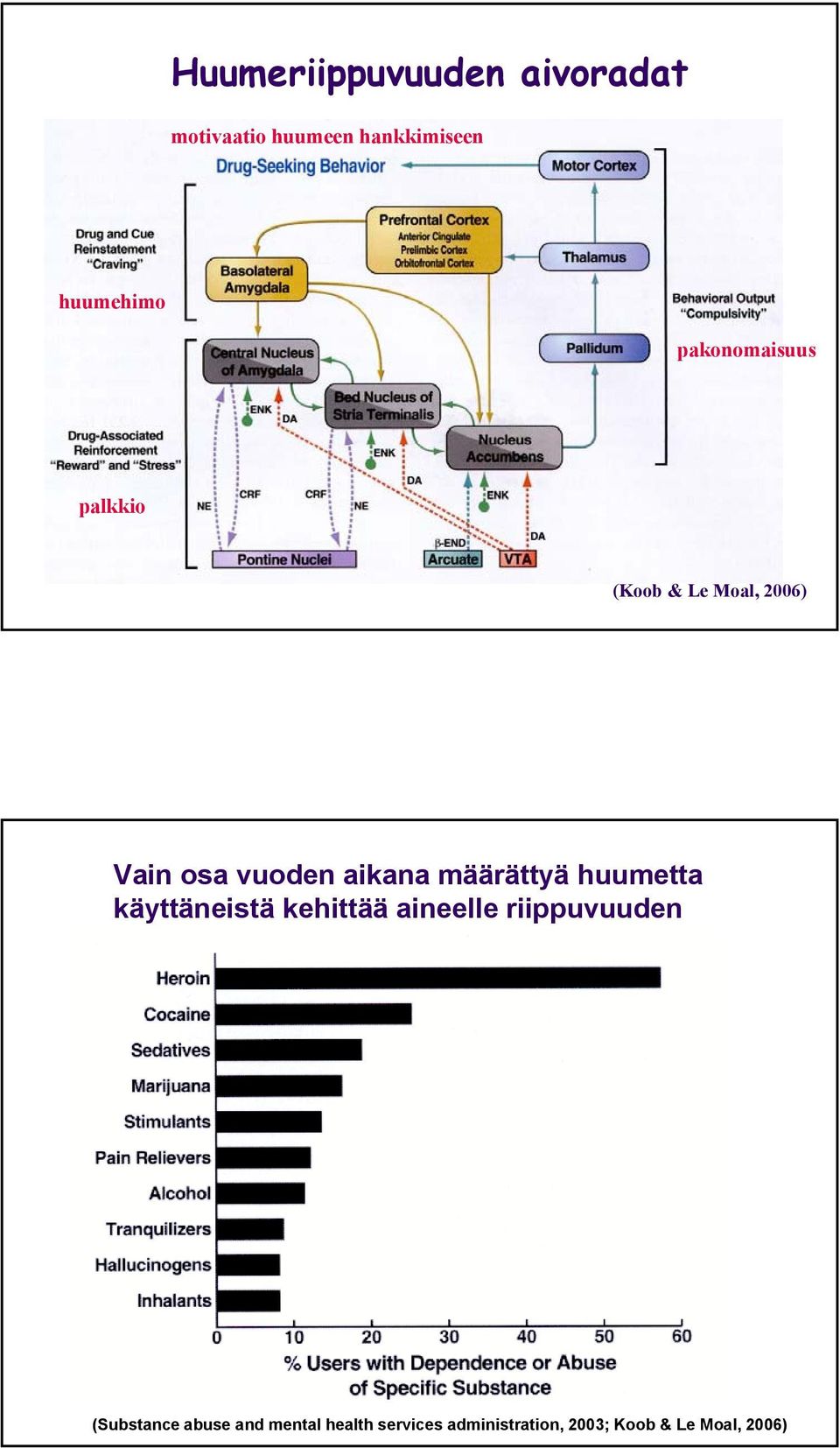 määrättyä huumetta käyttäneistä kehittää aineelle riippuvuuden