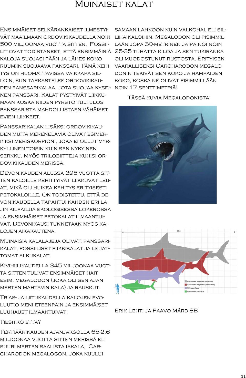 Tämä kehitys on huomattavissa vaikkapa silloin, kun tarkastelee ordovikikauden panssarikalaa, jota suojaa kyseinen panssari.