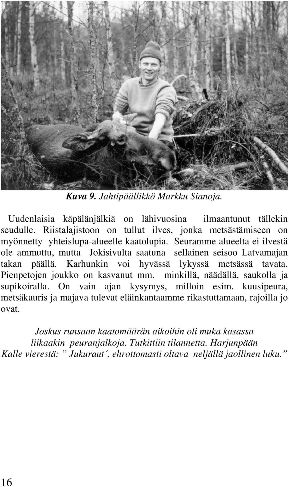Seuramme alueelta ei ilvestä ole ammuttu, mutta Jokisivulta saatuna sellainen seisoo Latvamajan takan päällä. Karhunkin voi hyvässä lykyssä metsässä tavata.