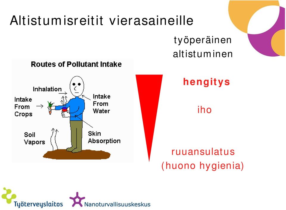 työperäinen altistuminen