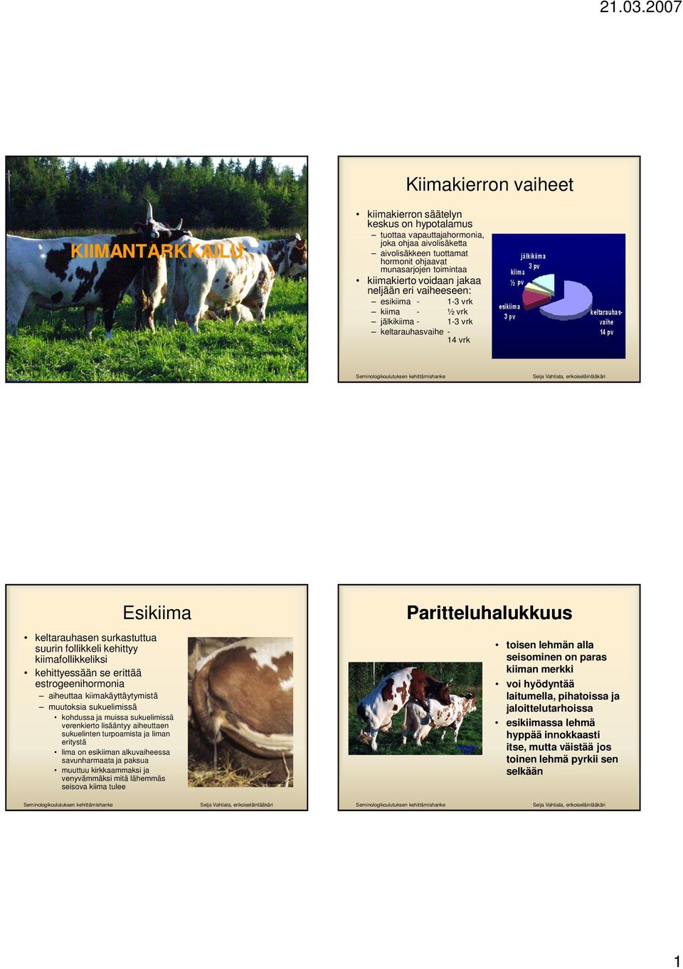 kiimafollikkeliksi kehittyessään se erittää estrogeenihormonia aiheuttaa kiimakäyttäytymistä muutoksia sukuelimissä kohdussa ja muissa sukuelimissä verenkierto lisääntyy aiheuttaen sukuelinten