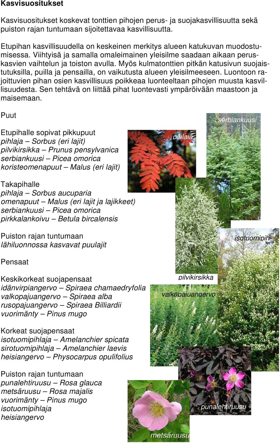 Myös kulmatonttien pitkän katusivun suojaistutuksilla, puilla ja pensailla, on vaikutusta alueen yleisilmeeseen.