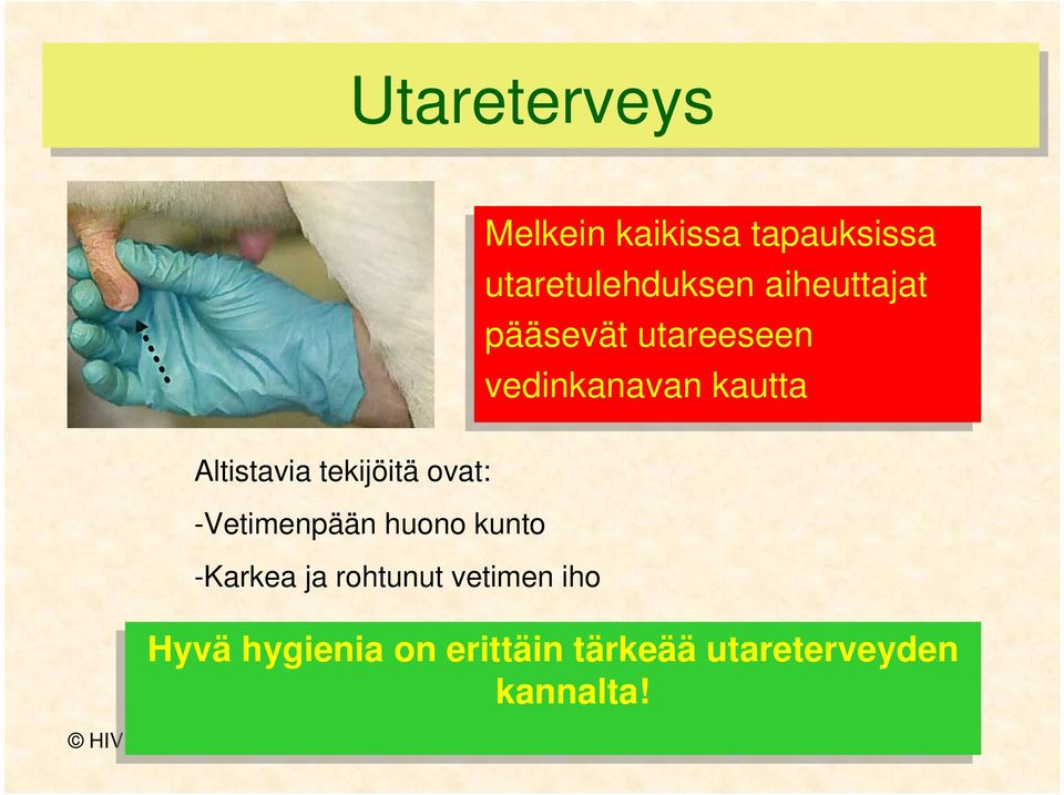 ja rohtunut vetimen iho Melkein kaikissa tapauksissa