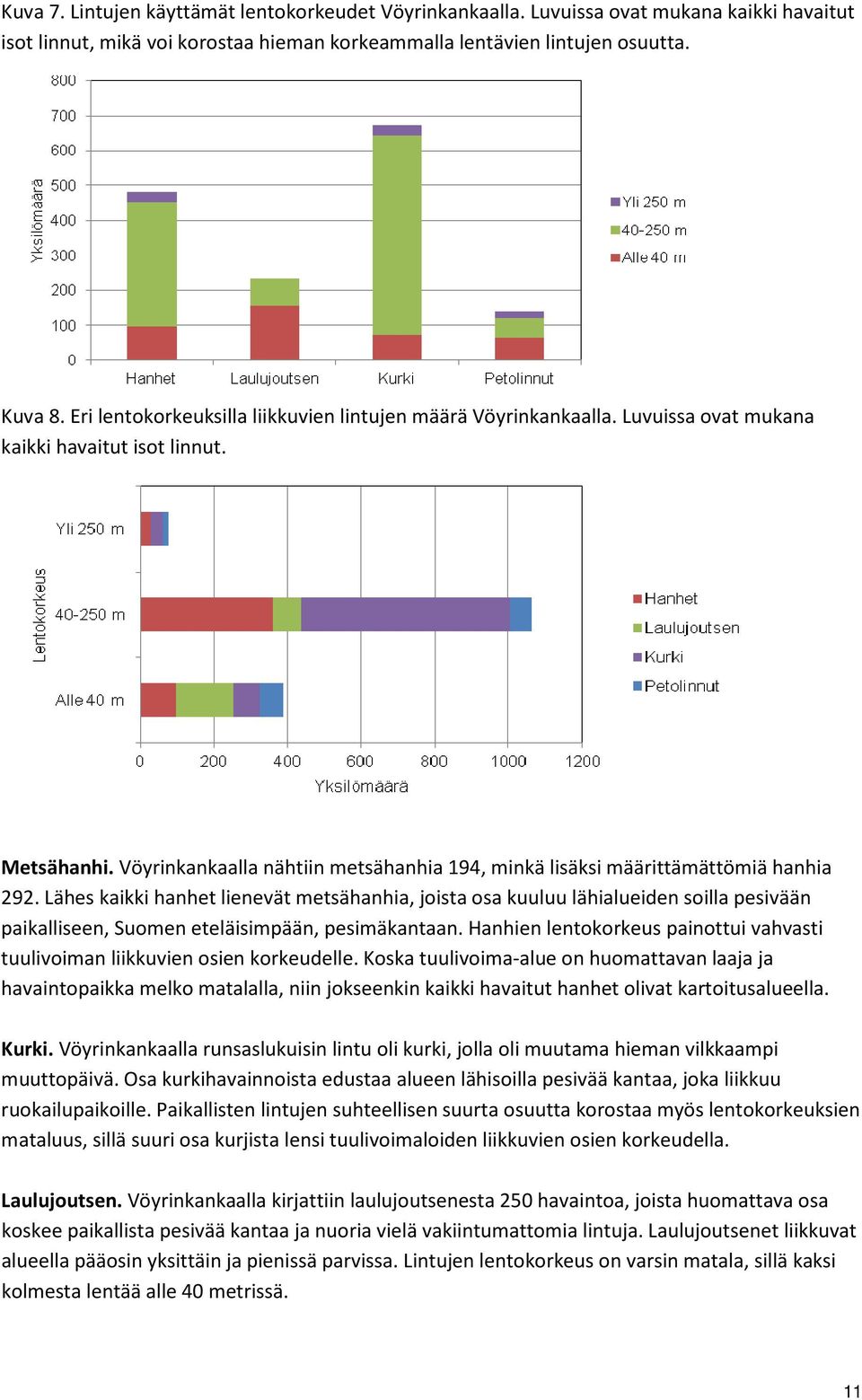 Vöyrinkankaalla nähtiin metsähanhia 194, minkä lisäksi määrittämättömiä hanhia 292.