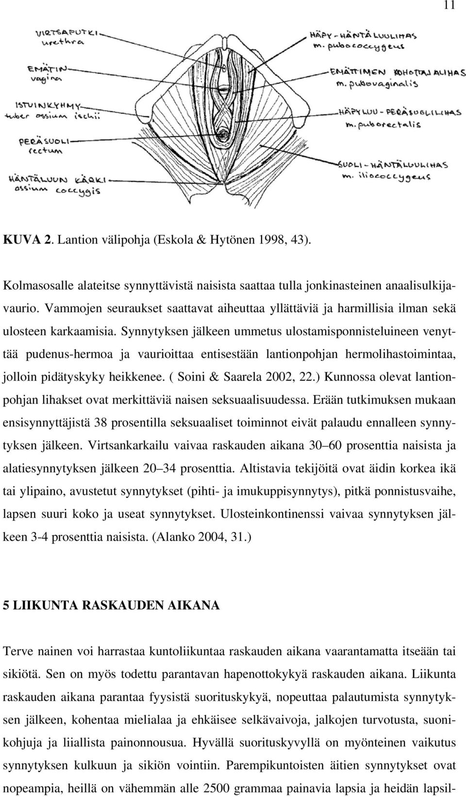 Synnytyksen jälkeen ummetus ulostamisponnisteluineen venyttää pudenus-hermoa ja vaurioittaa entisestään lantionpohjan hermolihastoimintaa, jolloin pidätyskyky heikkenee. ( Soini & Saarela 2002, 22.