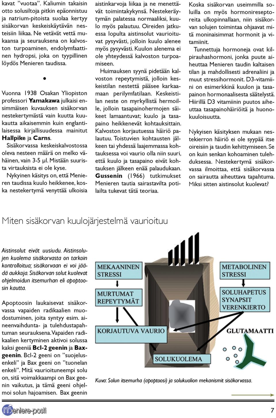 Vuonna 1938 Osakan Yliopiston professori Yamakawa julkaisi ensimmäisen kuvauksen sisäkorvan nestekertymästä vain kuutta kuukautta aikaisemmin kuin englantilaisessa kirjallisuudessa mainitut Hallpike