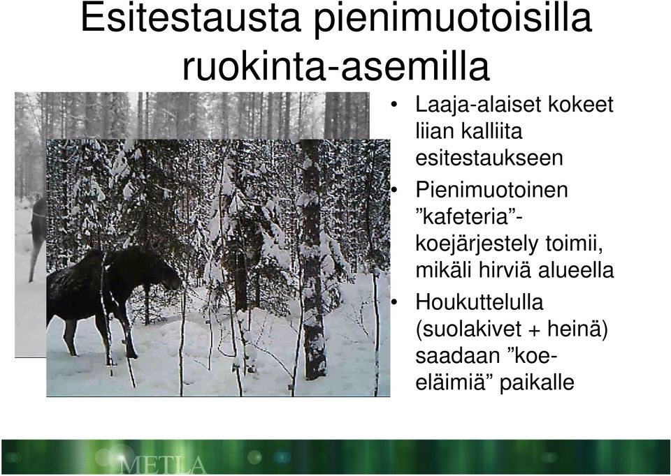 Pienimuotoinen kafeteria - koejärjestely toimii, mikäli