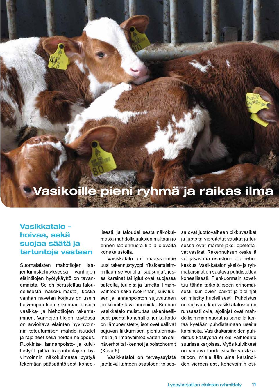 Vanhojen tilojen käytössä on arvioitava eläinten hyvinvoinnin toteutumisen mahdollisuudet ja rajoitteet sekä hoidon helppous.