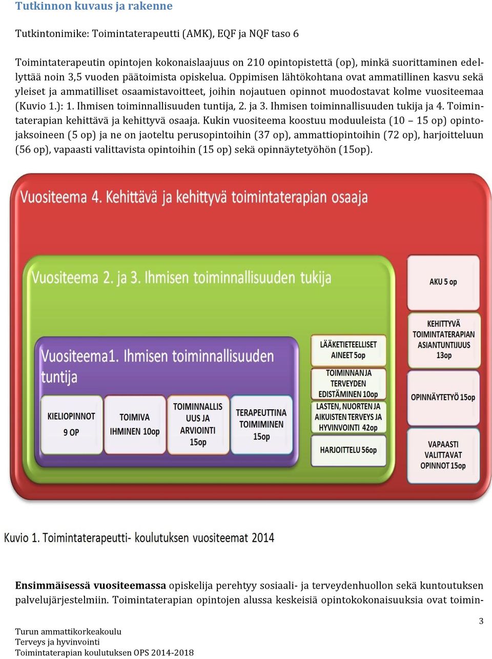 Ihmisen toiminnallisuuden tuntija, 2. ja 3. Ihmisen toiminnallisuuden tukija ja 4. Toimintaterapian kehittävä ja kehittyvä osaaja.