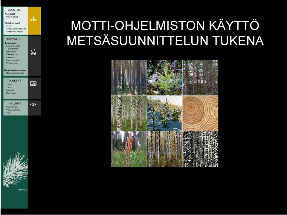 2007 / Metsäntutkimuslaitos