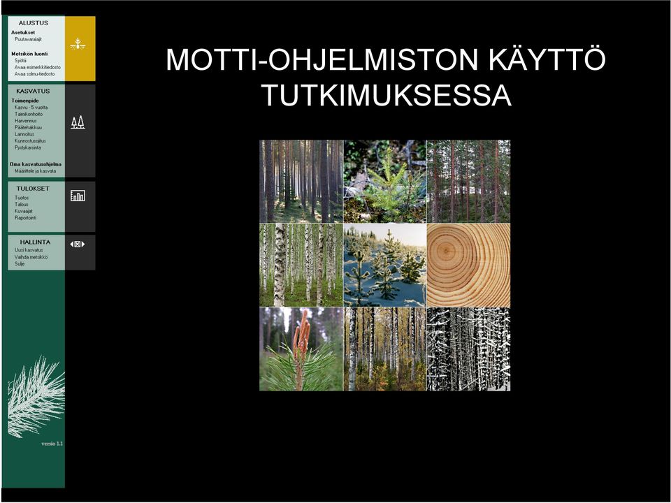 2007 / Metsäntutkimuslaitos