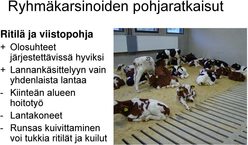 vain yhdenlaista lantaa - Kiinteän alueen hoitotyö -