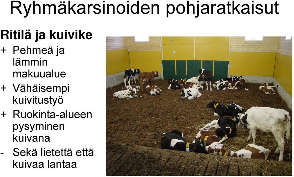 Vähäisempi kuivitustyö + Ruokinta-alueen